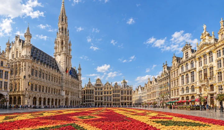 Vue illustrée de la Grand-Place de Bruxelles, avec ses façades historiques et un tapis de fleurs